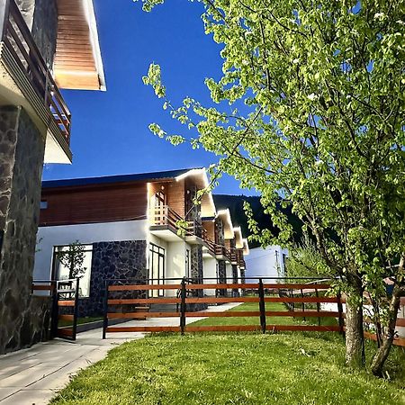 Villa Mtashi Bakuriani Esterno foto
