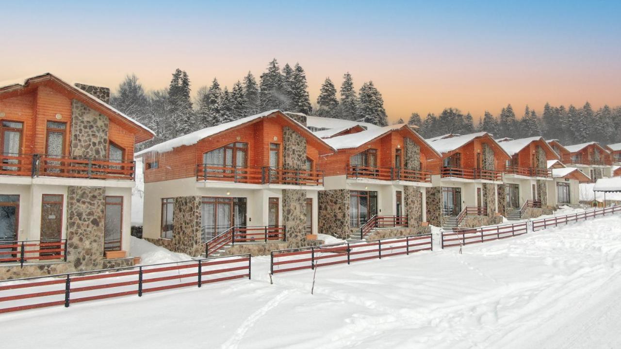 Villa Mtashi Bakuriani Esterno foto