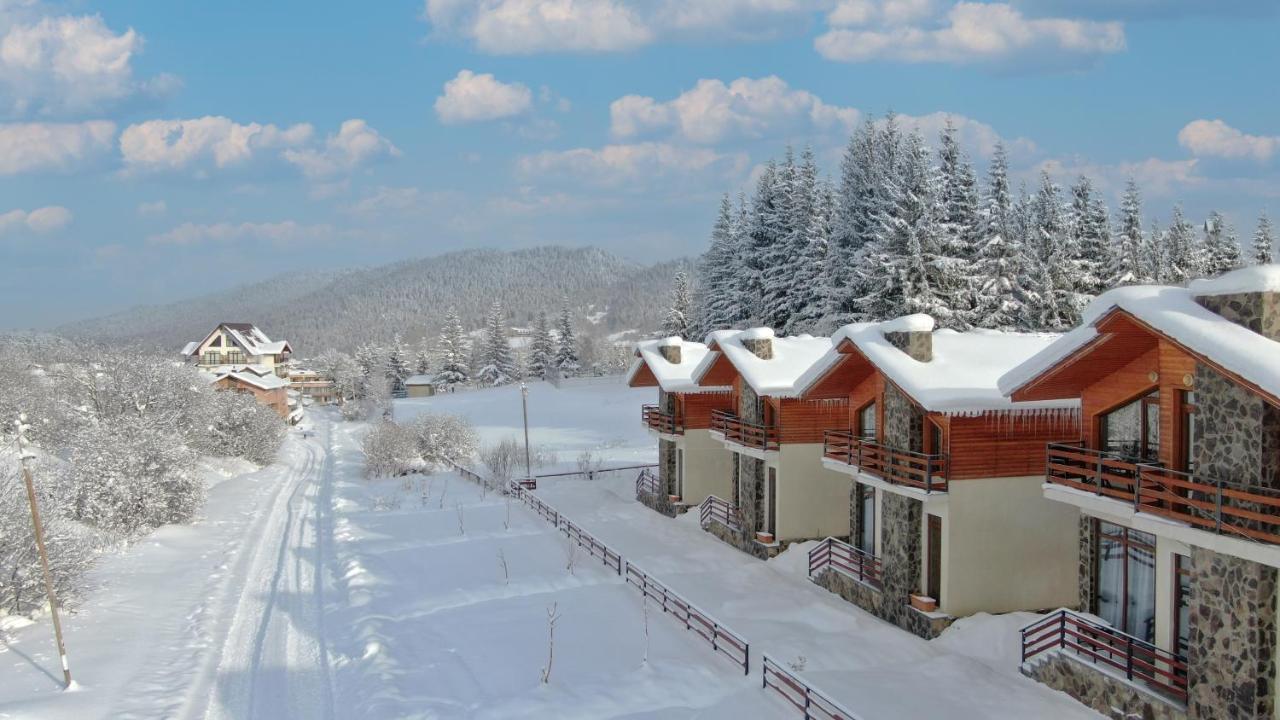Villa Mtashi Bakuriani Esterno foto