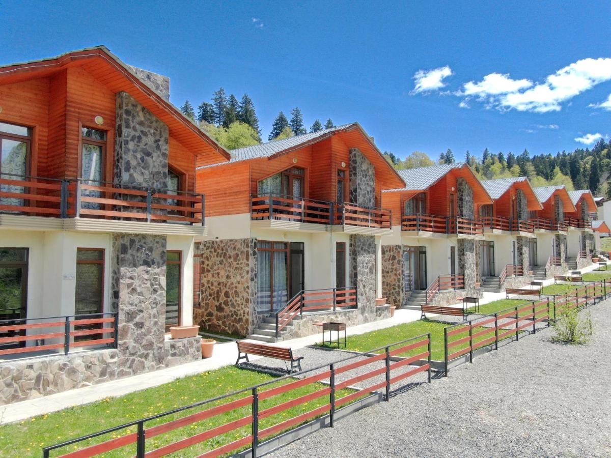 Villa Mtashi Bakuriani Esterno foto