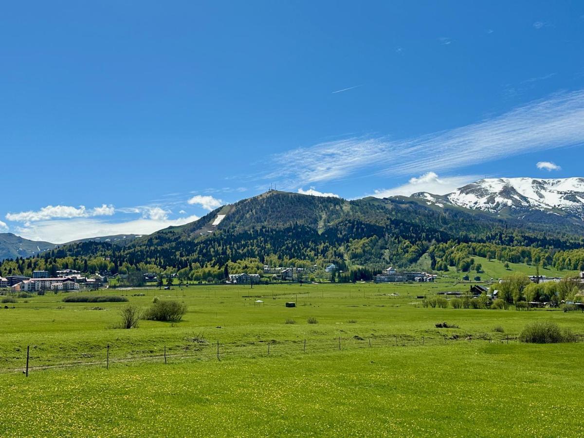 Villa Mtashi Bakuriani Esterno foto