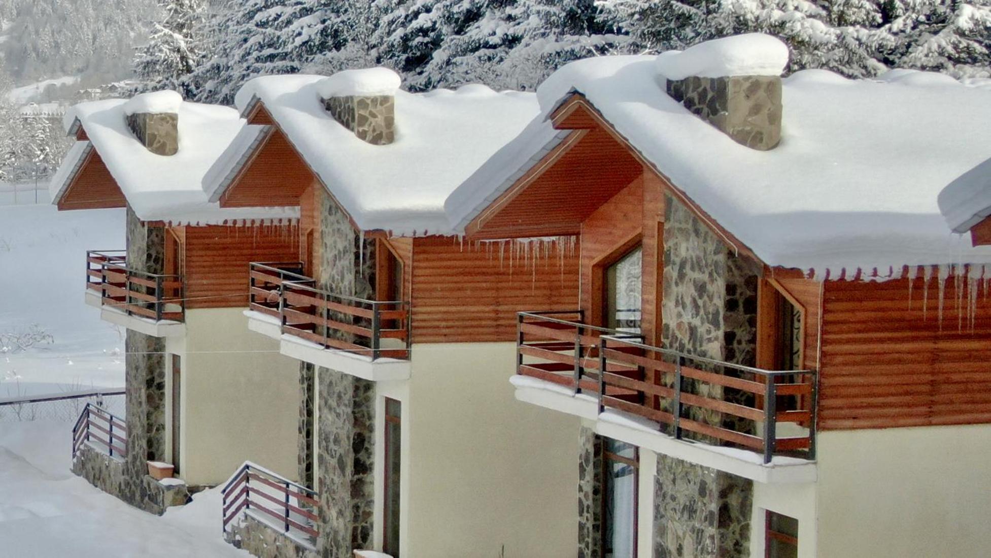 Villa Mtashi Bakuriani Esterno foto
