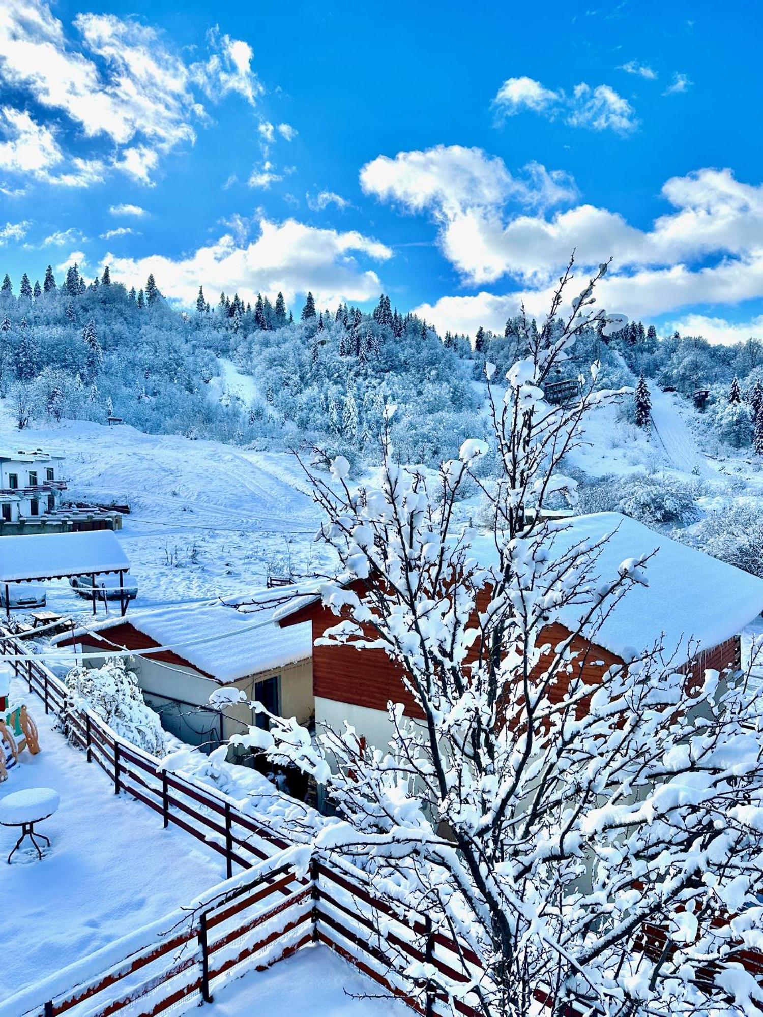 Villa Mtashi Bakuriani Esterno foto