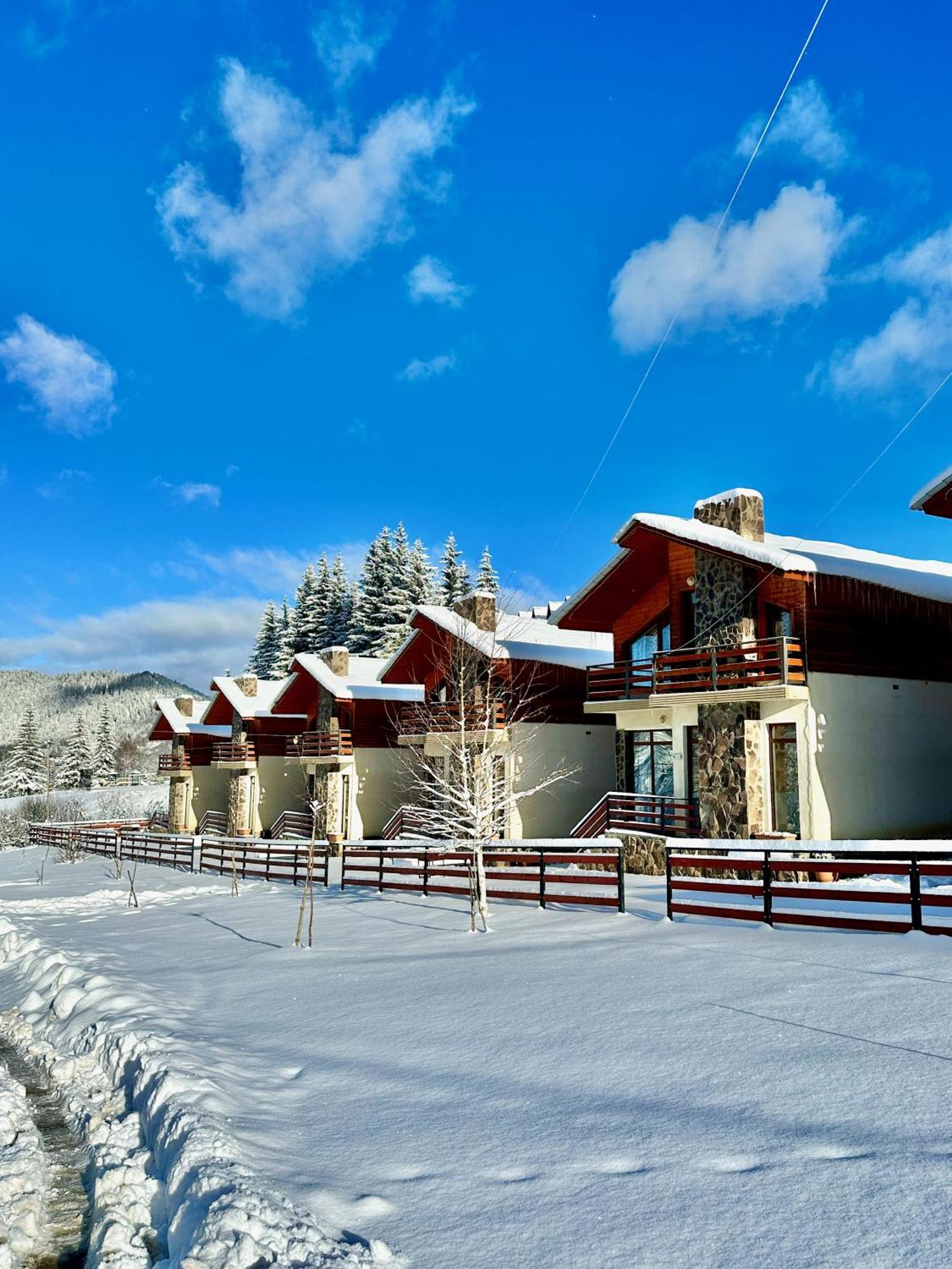 Villa Mtashi Bakuriani Esterno foto