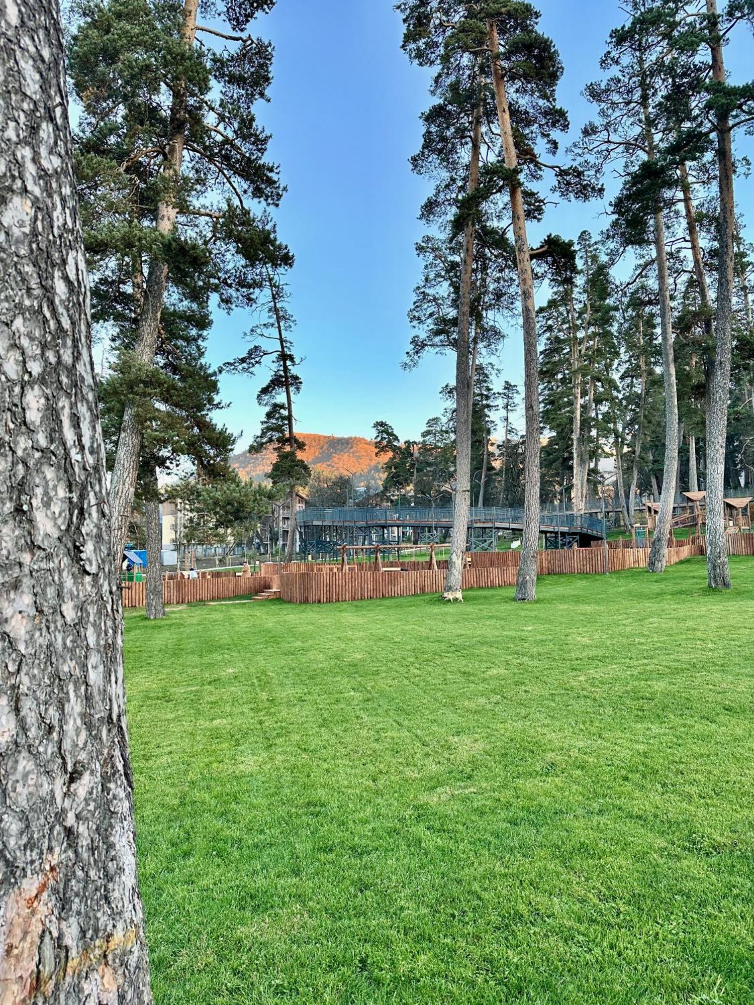 Villa Mtashi Bakuriani Esterno foto
