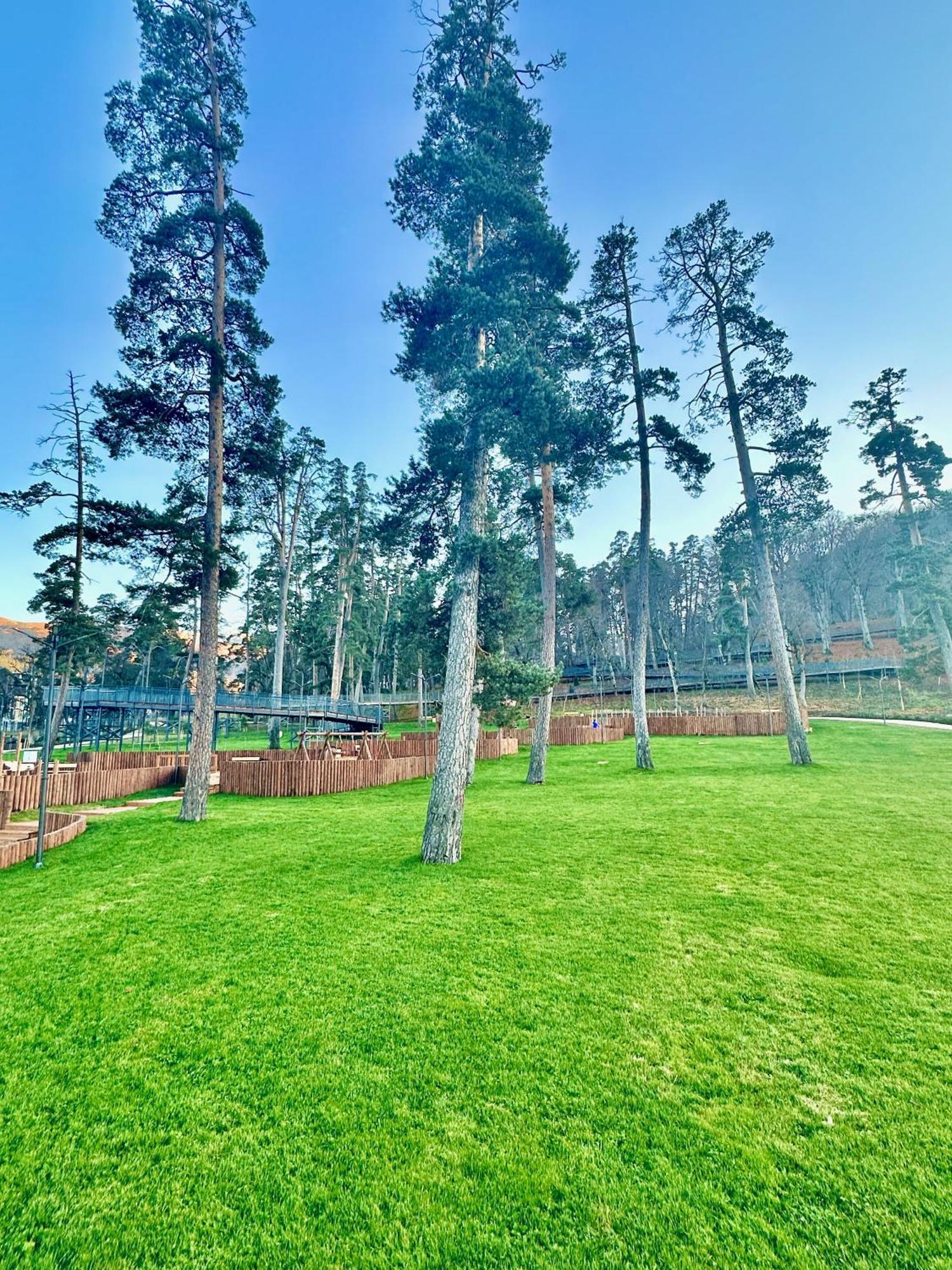 Villa Mtashi Bakuriani Esterno foto