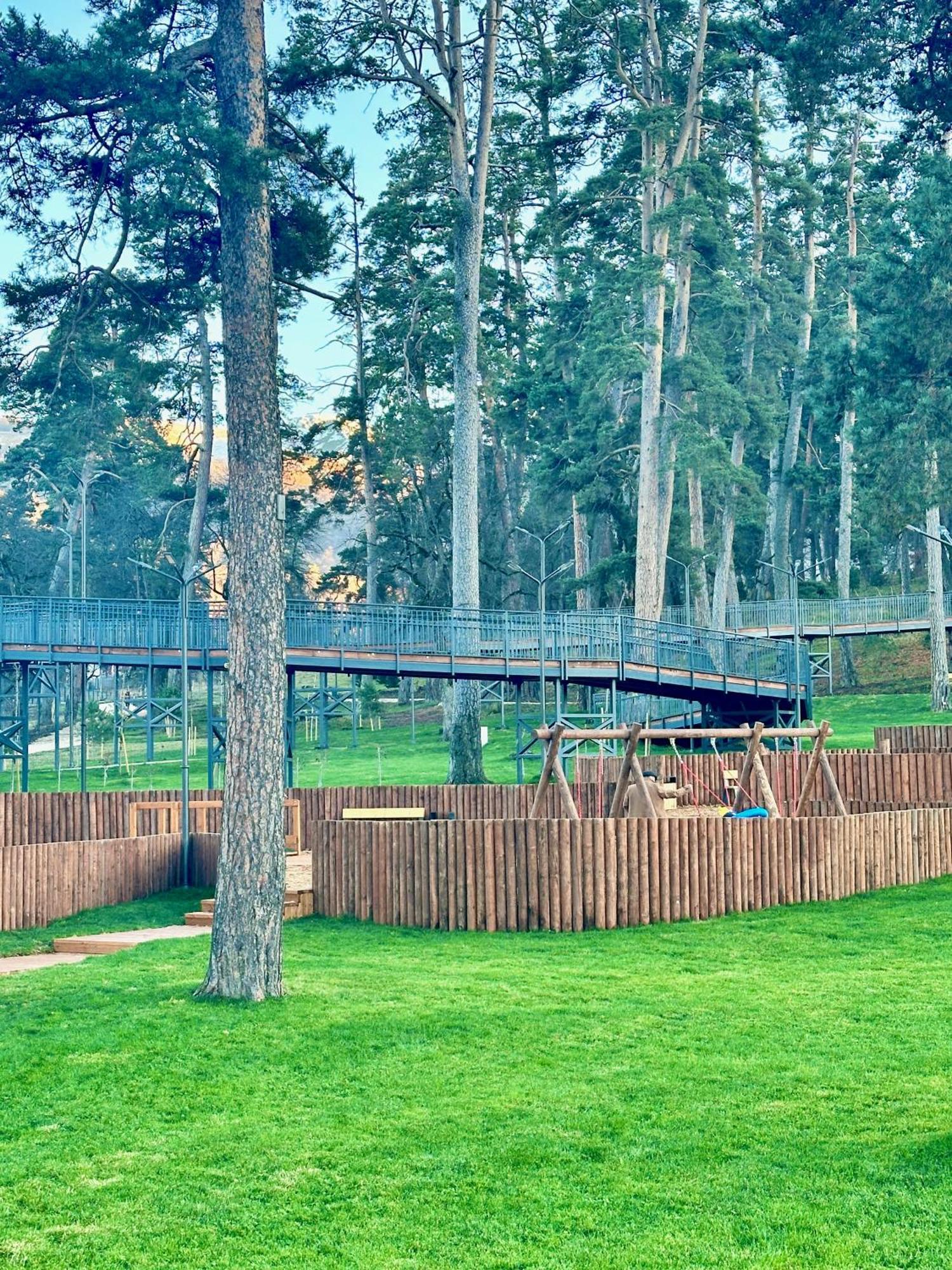Villa Mtashi Bakuriani Esterno foto