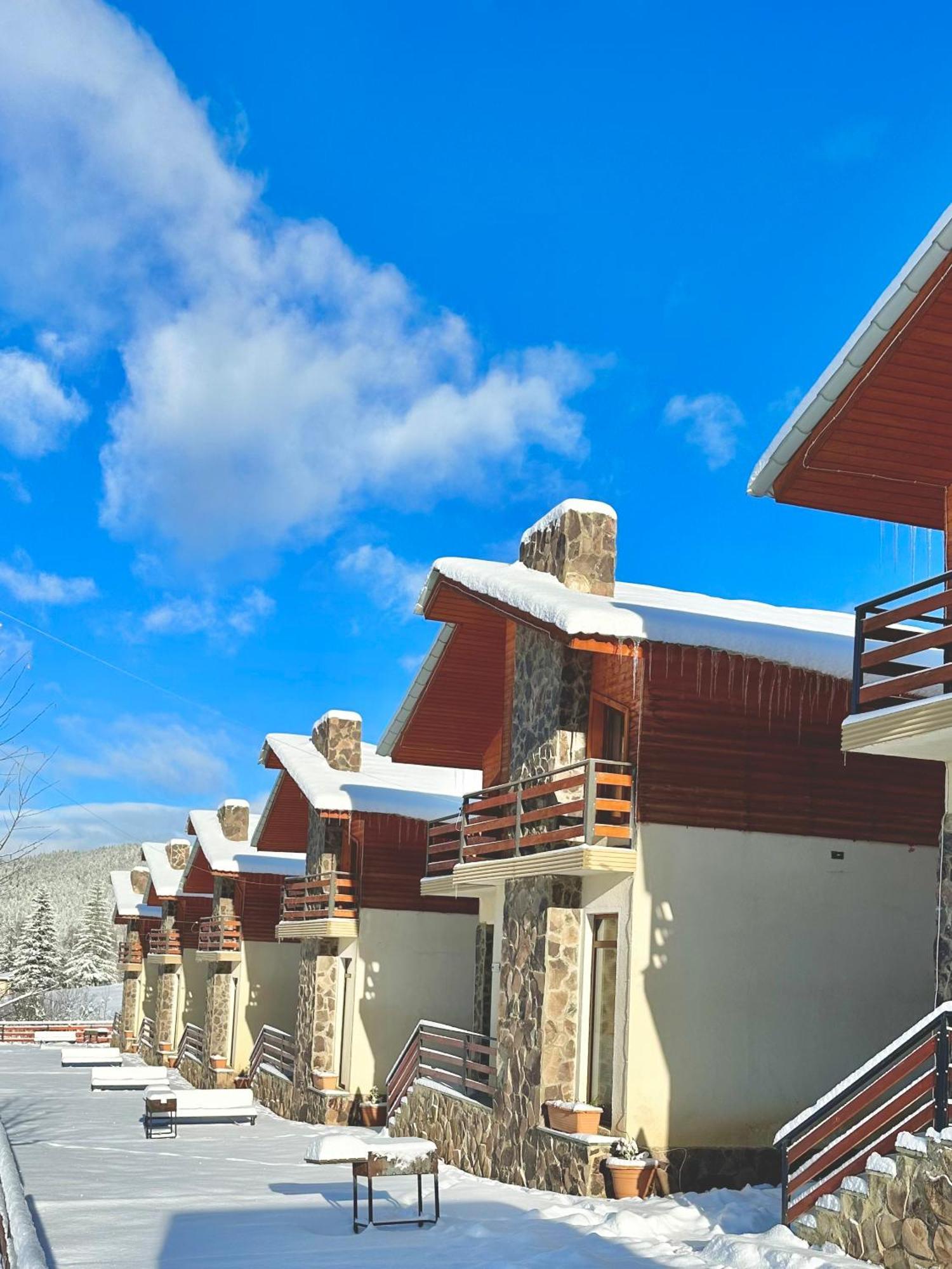 Villa Mtashi Bakuriani Esterno foto