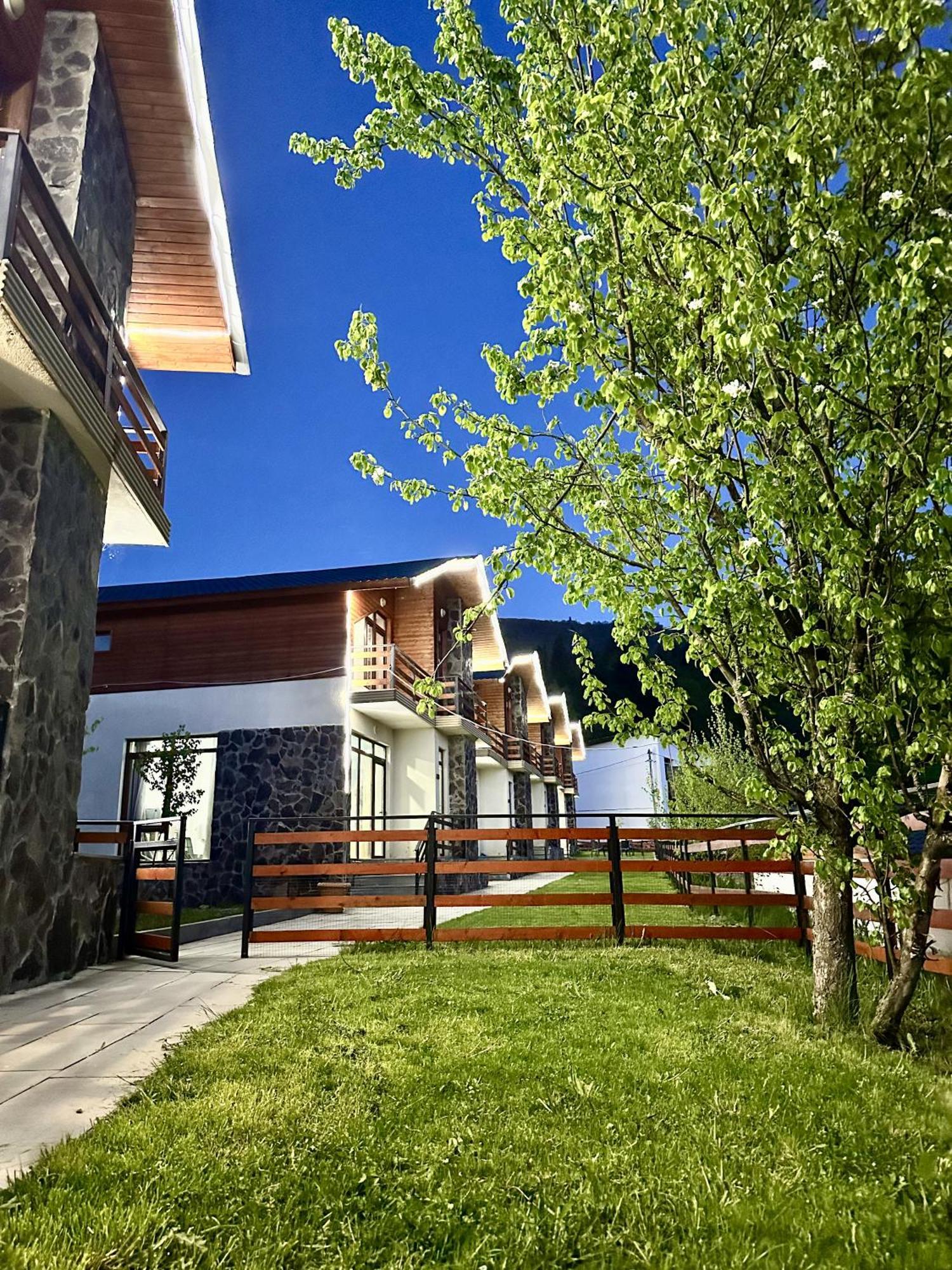 Villa Mtashi Bakuriani Esterno foto