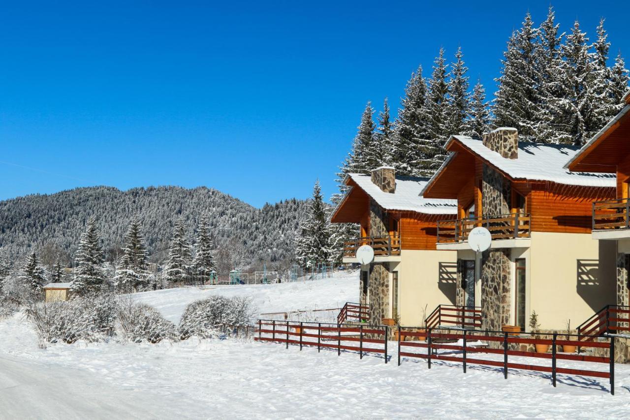 Villa Mtashi Bakuriani Esterno foto
